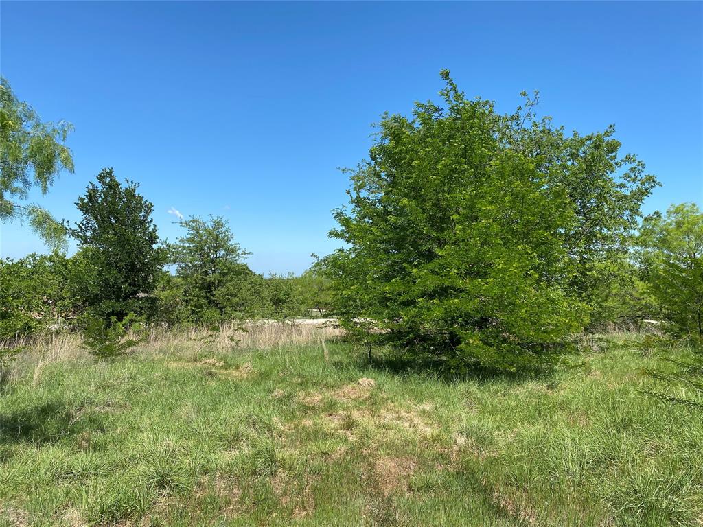 Tbd Miller Creek Lake Road Paradise, TX 76073 - Photo 15 of 19 a view of a lush green space