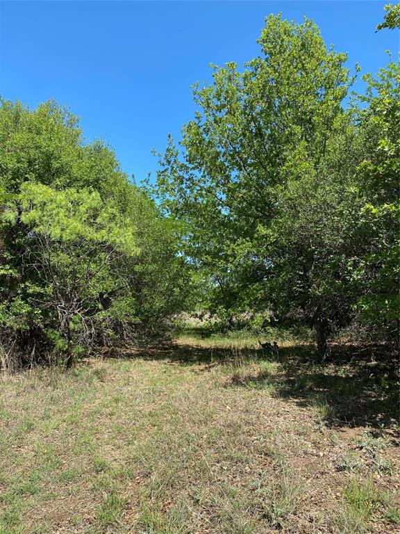 Tbd Miller Creek Lake Road Paradise, TX 76073 - Photo 16 of 19 a view of outdoor space and yard