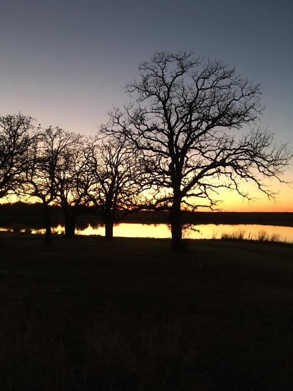 Tbd Miller Creek Lake Road Paradise, TX 76073 - Photo 18 of 19 a view of lake from yard