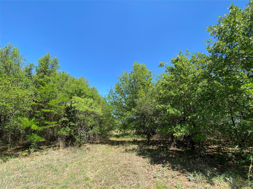 Tbd Miller Creek Lake Road Paradise, TX 76073 - Photo 2 of 19