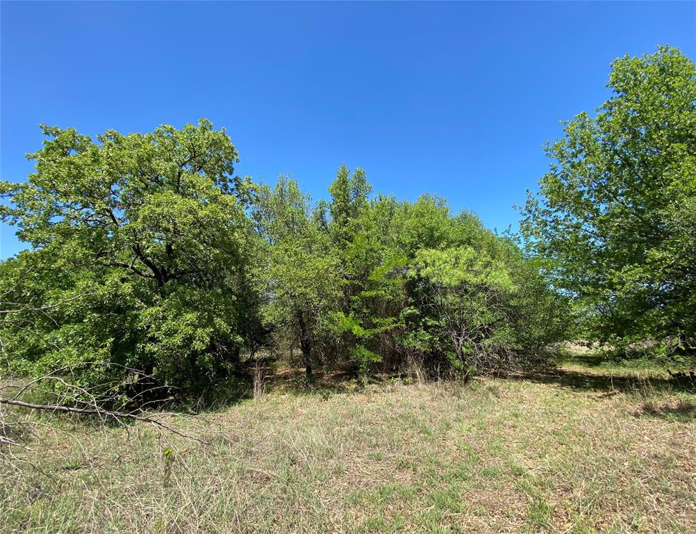 Tbd Miller Creek Lake Road Paradise, TX 76073 - Photo 3 of 19 a view of a yard with plants and a tree