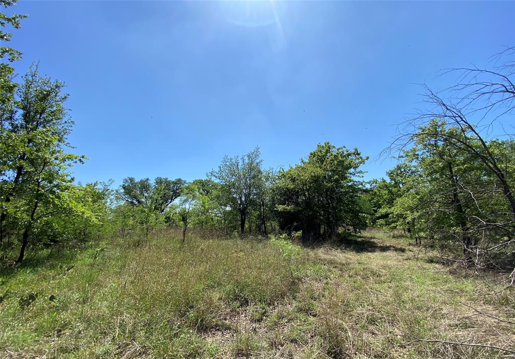 Tbd Miller Creek Lake Road Paradise, TX 76073 - Photo 4 of 19 a view of a lush green space