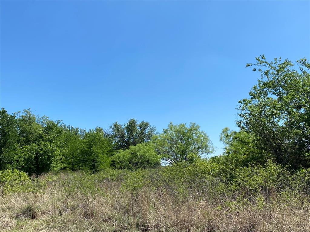 Tbd Miller Creek Lake Road Paradise, TX 76073 - Photo 7 of 19 a view of a large trees with lots of bushes