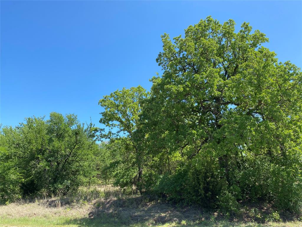 Tbd Miller Creek Lake Road Paradise, TX 76073 - Photo 8 of 19 a view of a large yard with lots of green space