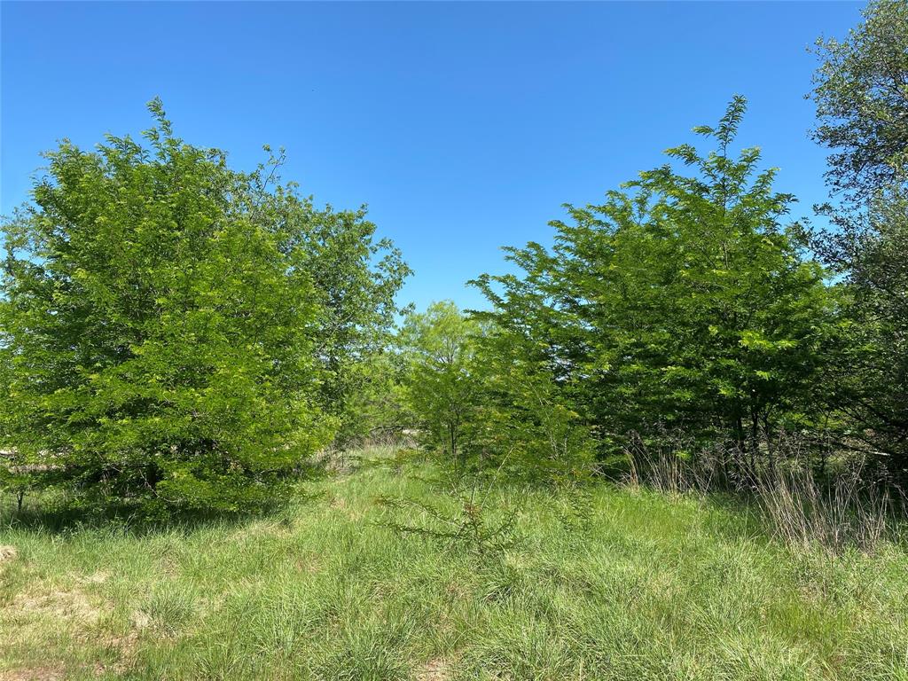 Tbd Miller Creek Lake Road Paradise, TX 76073 - Photo 10 of 19 a view of a lush green space