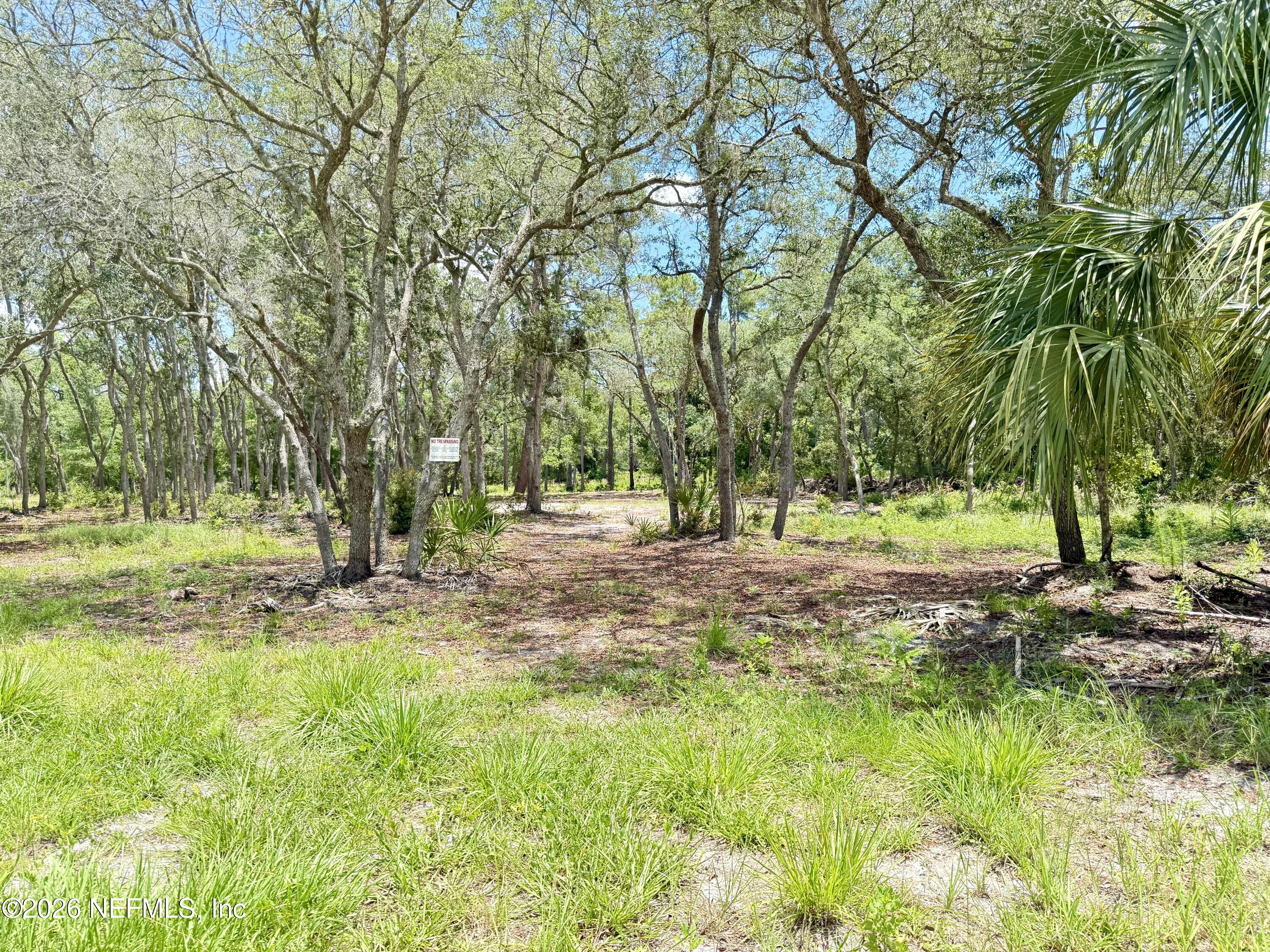 438 Chamberlain Road Satsuma, FL 32189 - Photo 4 of 21 IMG_2952