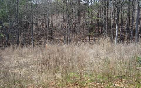 S0 Bethel Road Talking Rock, GA 30175 - Photo 1 of 1 Main View