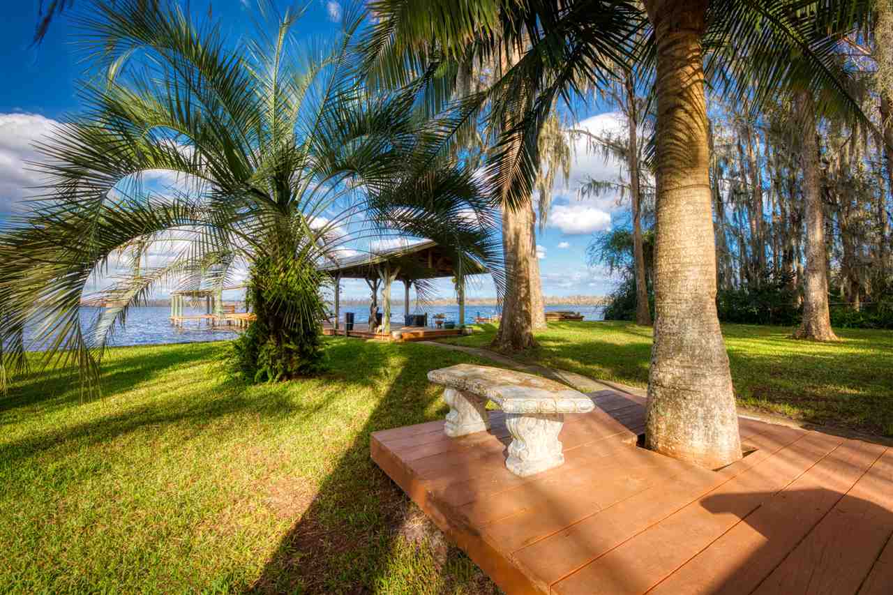 8580 G Palmo Fish Camp Road St. Augustine, FL 32092 - Photo 13 of 48 a view of a yard with palm trees