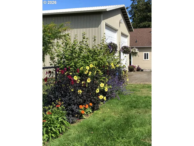 a view of a lake with a mountain