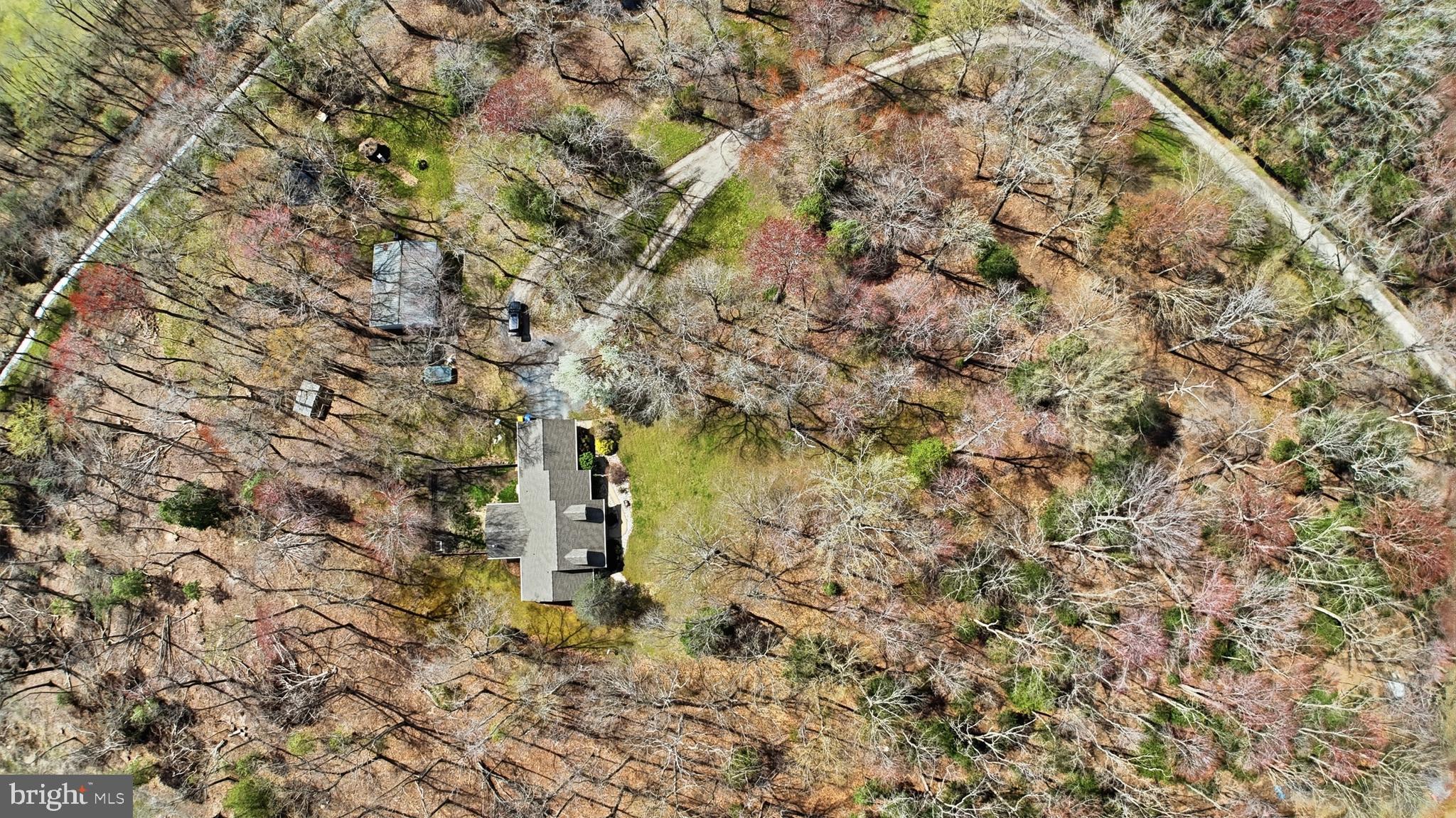 228 Firetower Road Camden Wyoming, DE 19934 - Photo 3 of 39 a plant that is in the middle of a forest