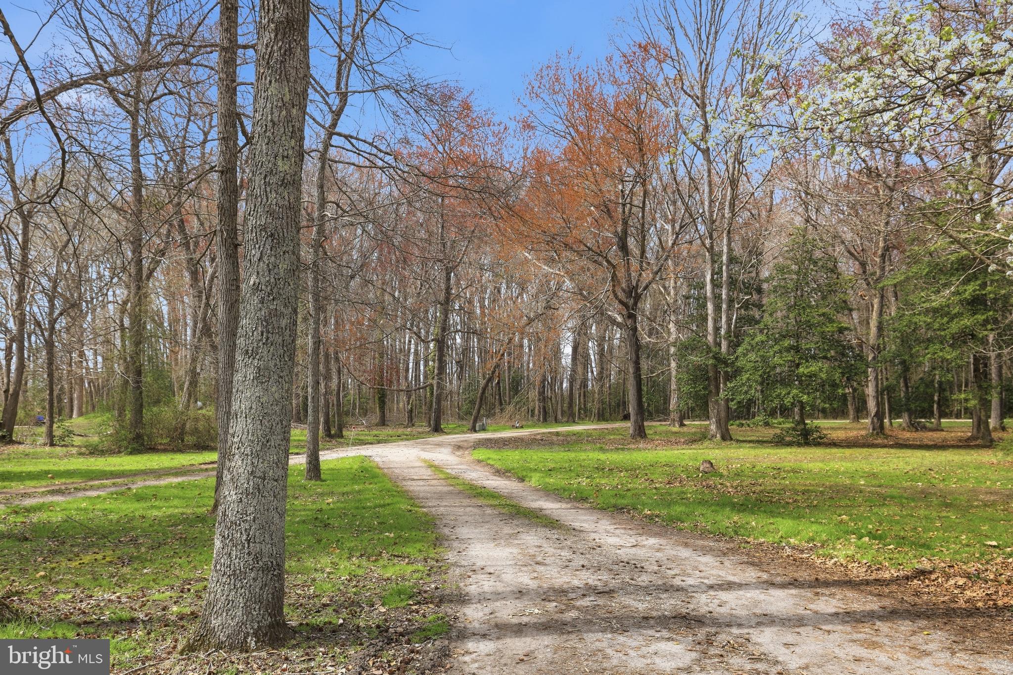 228 Firetower Road Camden Wyoming, DE 19934 - Photo 4 of 39 a park with lots of trees and plants