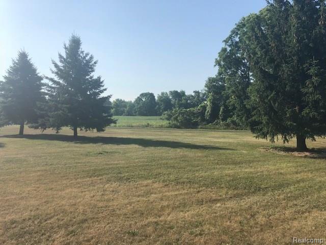 5731 Preston Road Howell, MI 48855 - Photo 12 of 40 IMG_4018.jpg