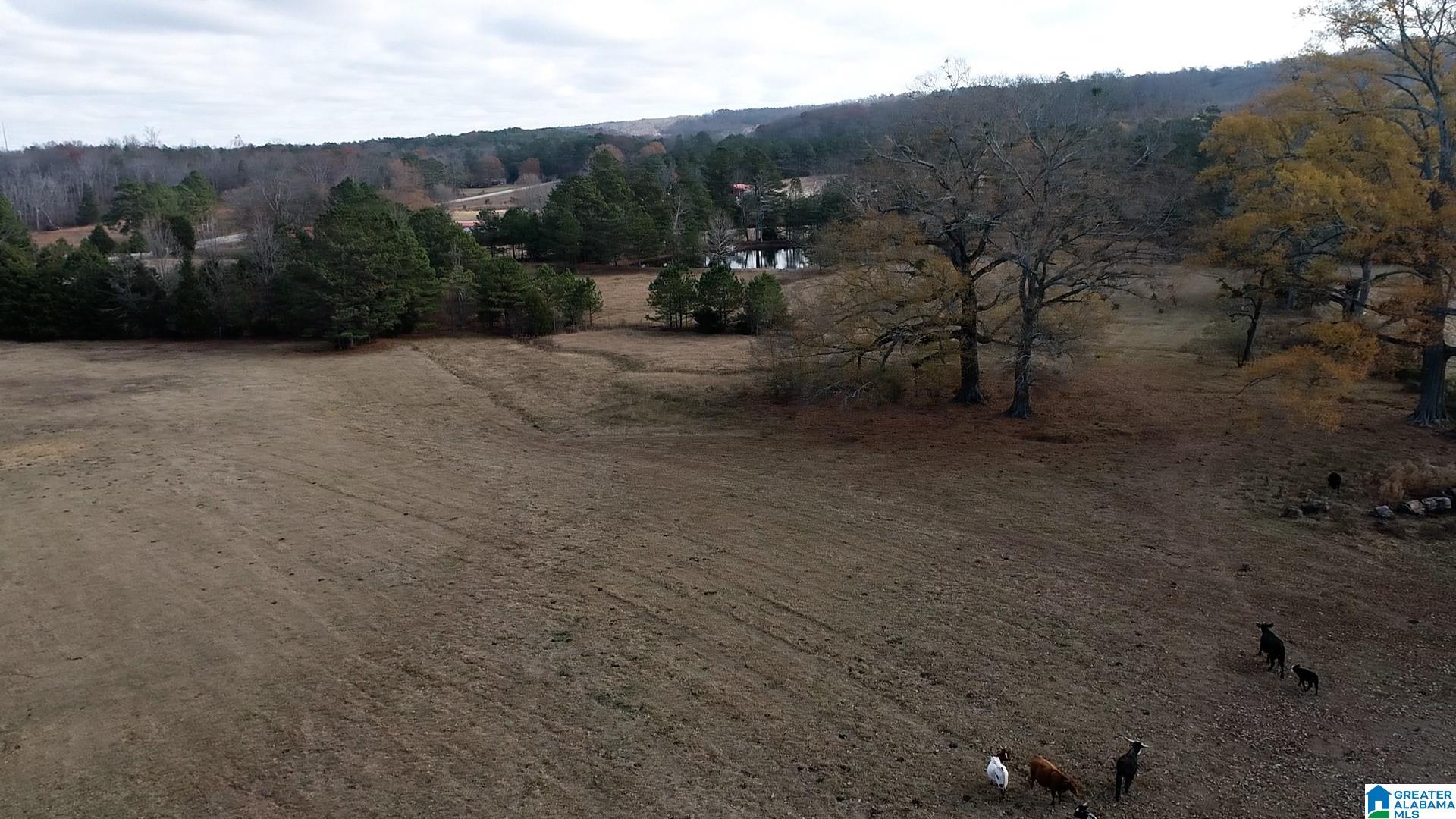 132 Highway, Unit 6 Oneonta, AL 35121 - Photo 6 of 20