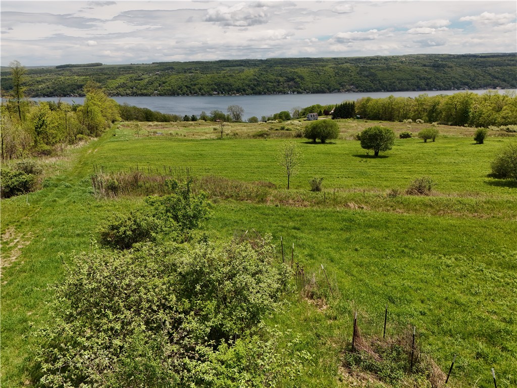 0 Middle Road Hammondsport, NY 14840 - Photo 7 of 20