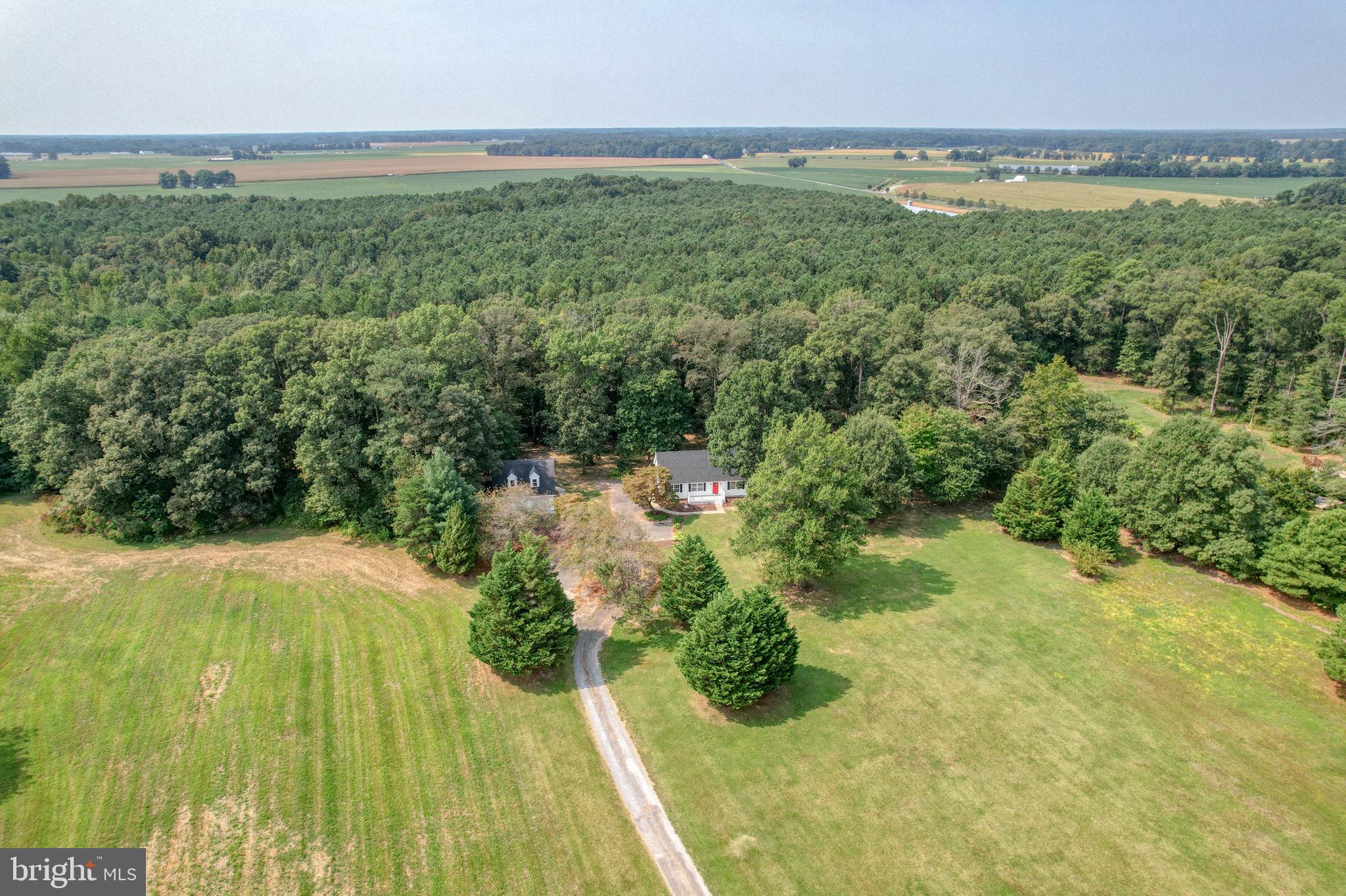 a view of an outdoor space and a yard