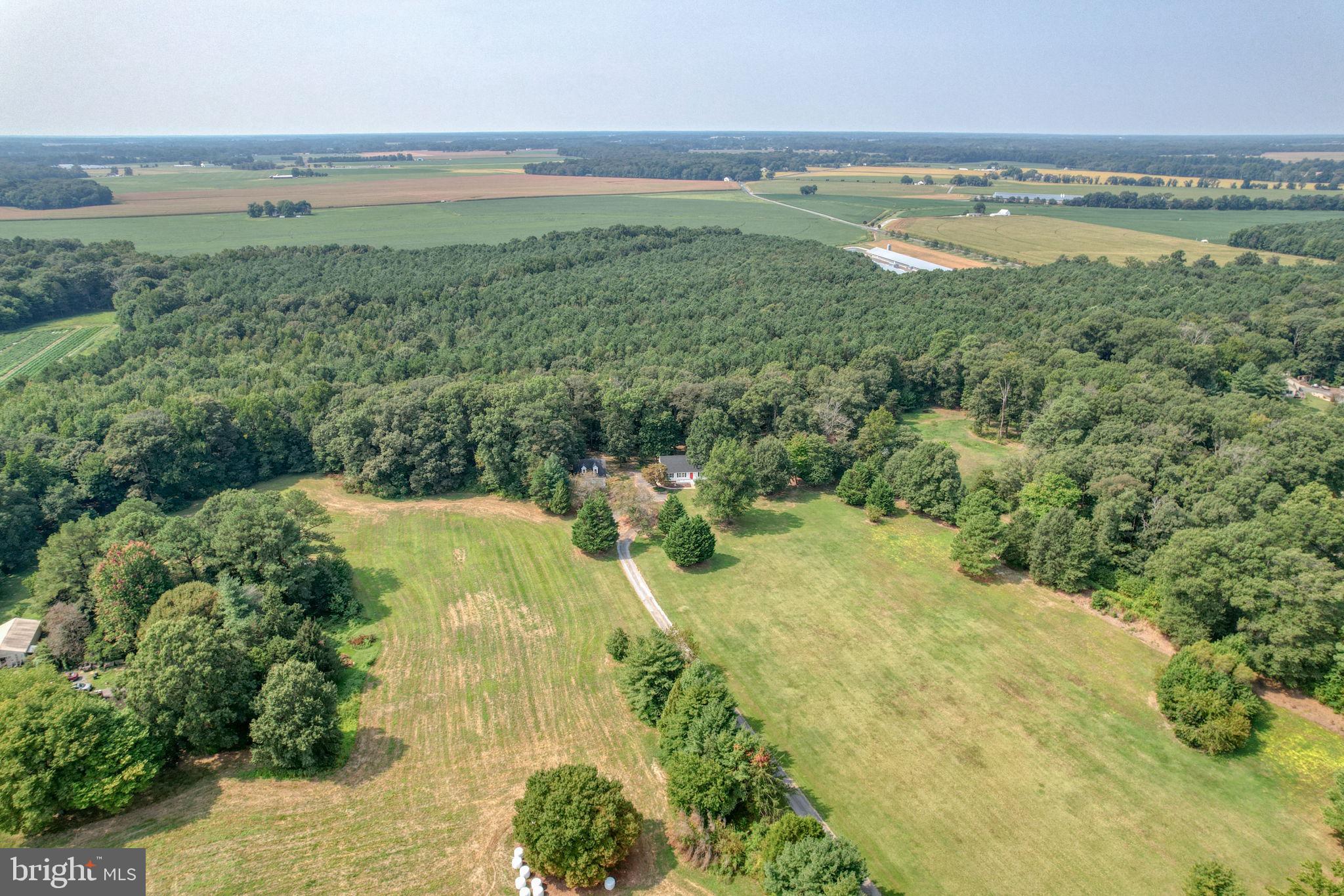 23678 Willow Pond Road Denton, MD 21629 - Photo 45 of 51