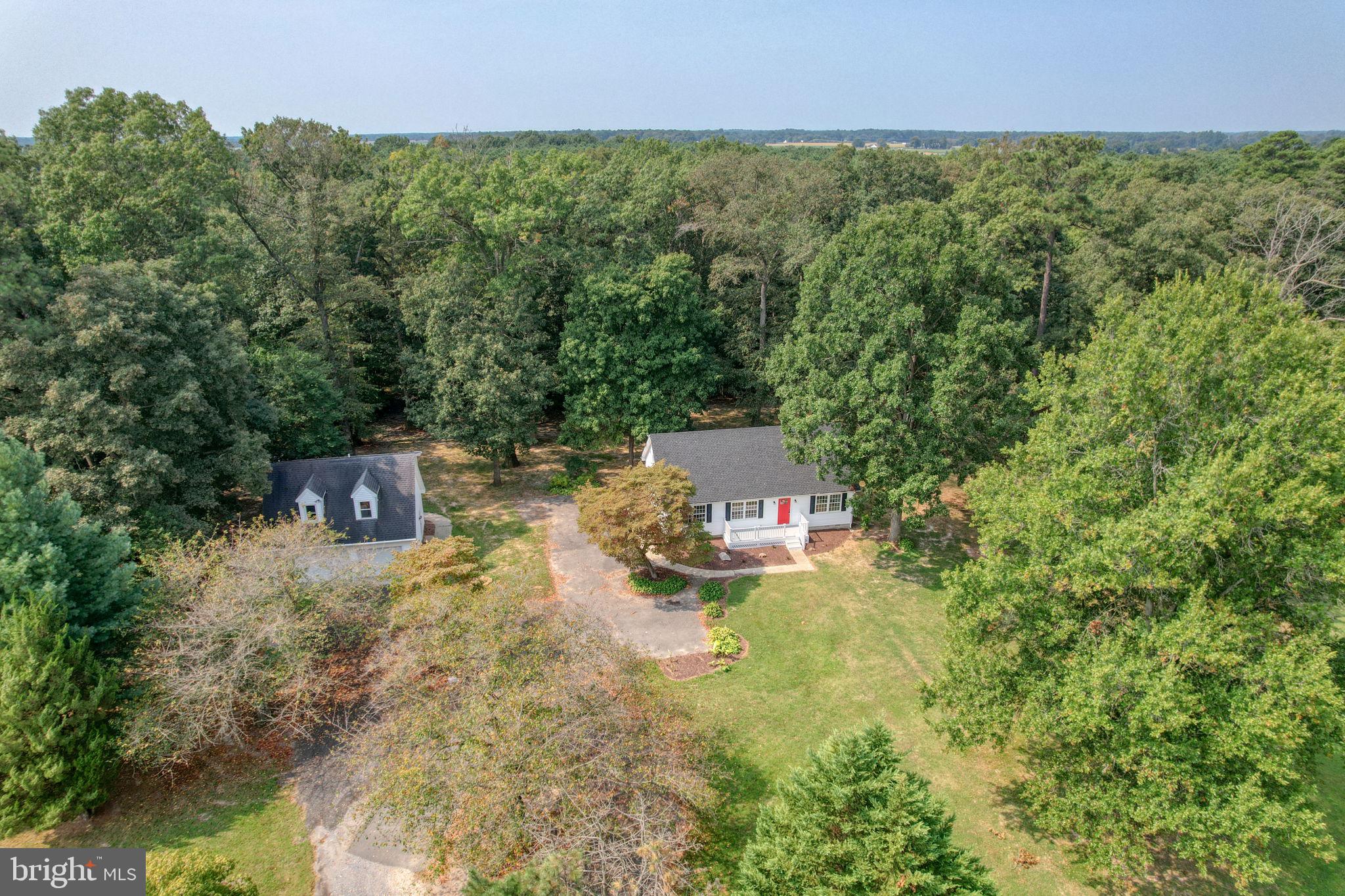 23678 Willow Pond Road Denton, MD 21629 - Photo 6 of 51 a backyard of a house with table and chairs