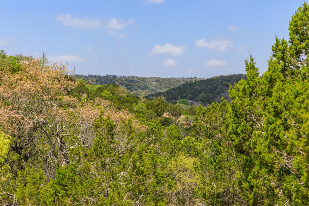 230 Valley Road, Unit 20 Fredericksburg, TX 78624 - Photo 4 of 16 Gallery Image 4