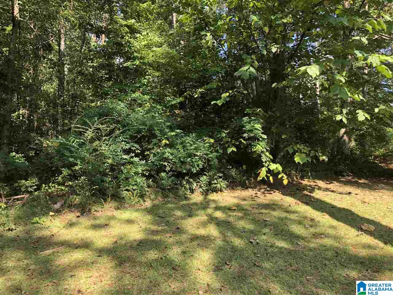 1112 Mountain Brook Road Oxford, AL 36203 - Photo 42 of 50