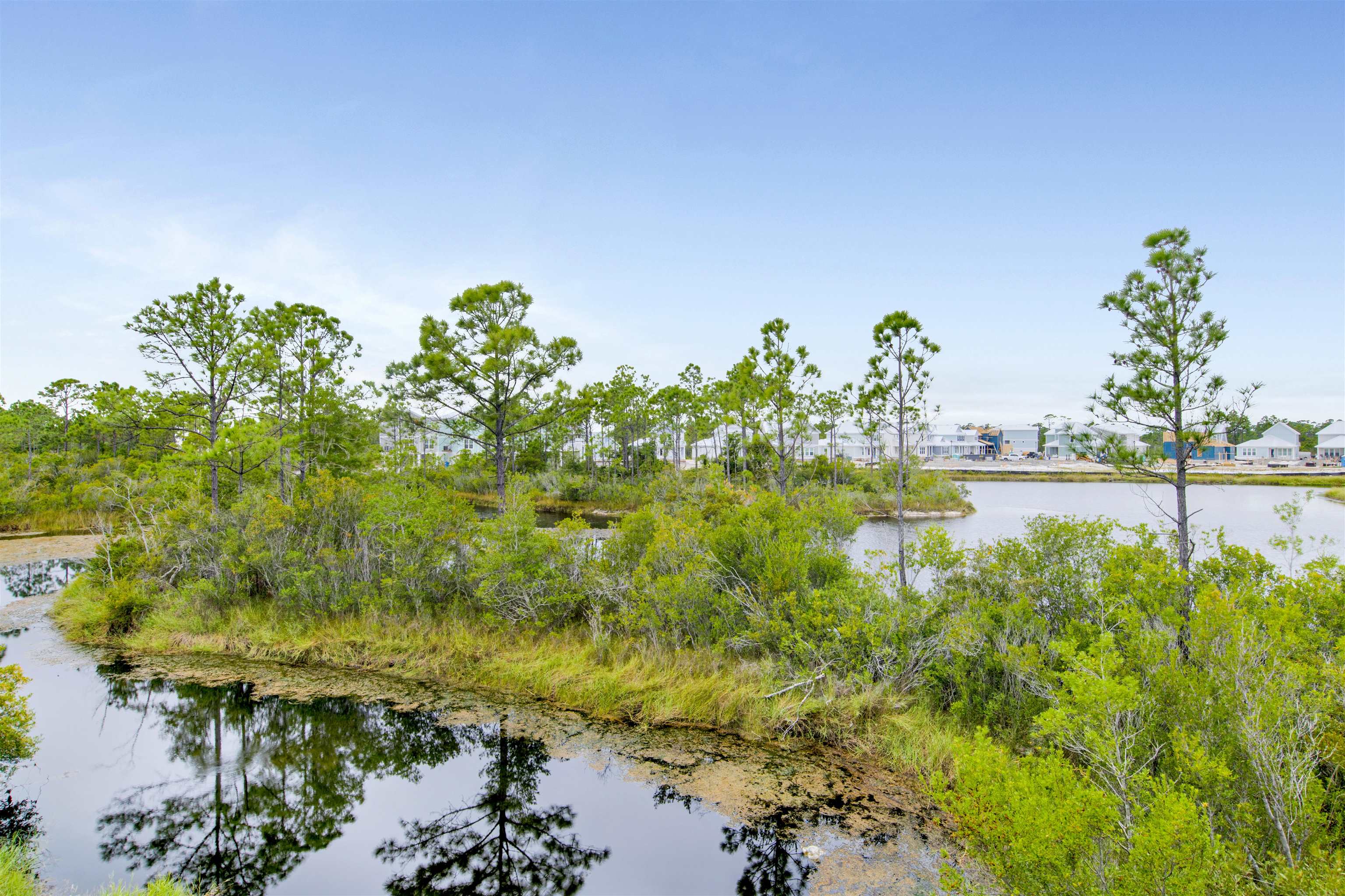 24238 Pepper Lane Orange Beach, AL 36561 - Photo 8 of 36