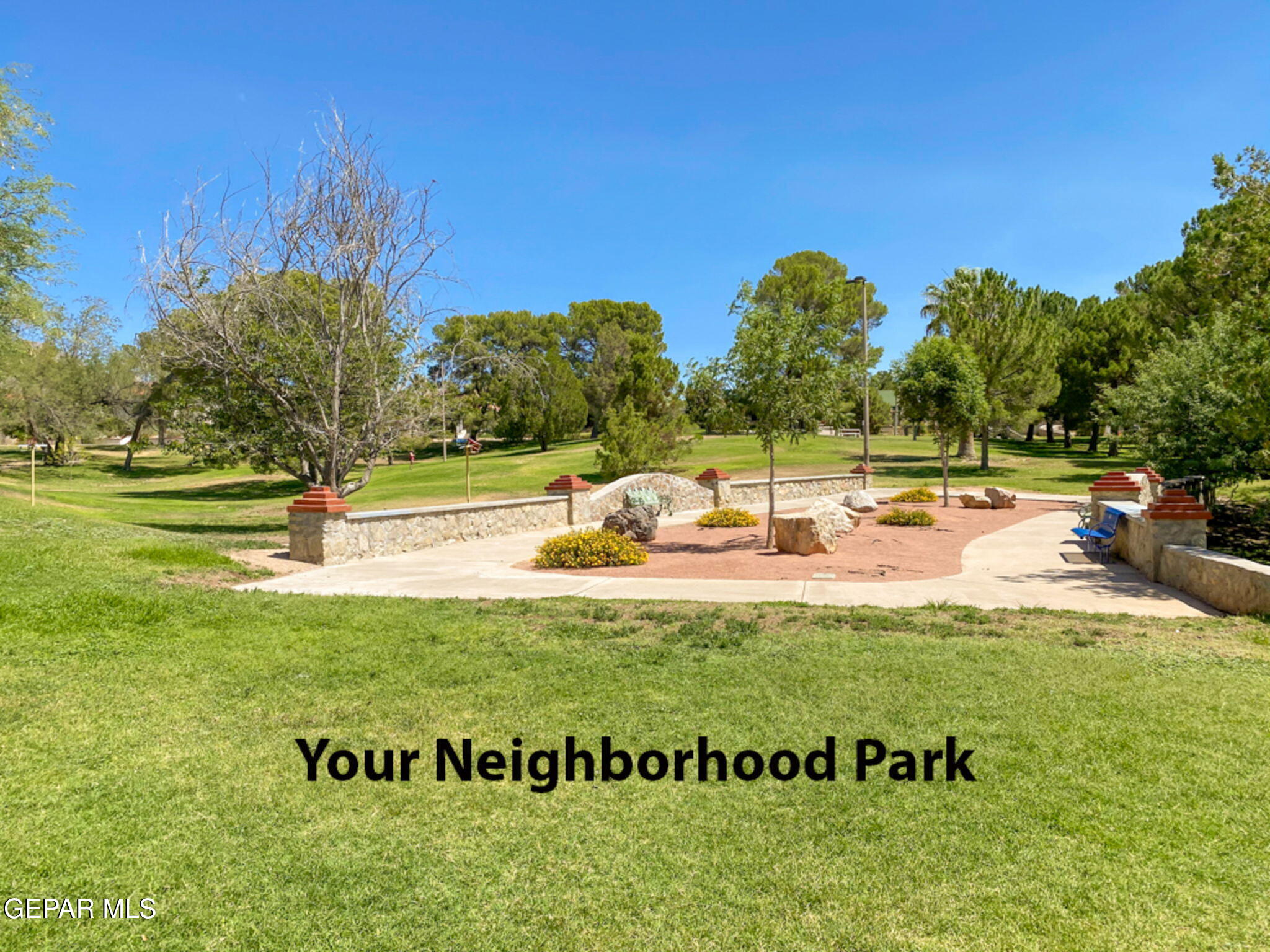 4333 Pershing Drive El Paso, TX 79903 - Photo 52 of 75 a view of swimming pool with a yard