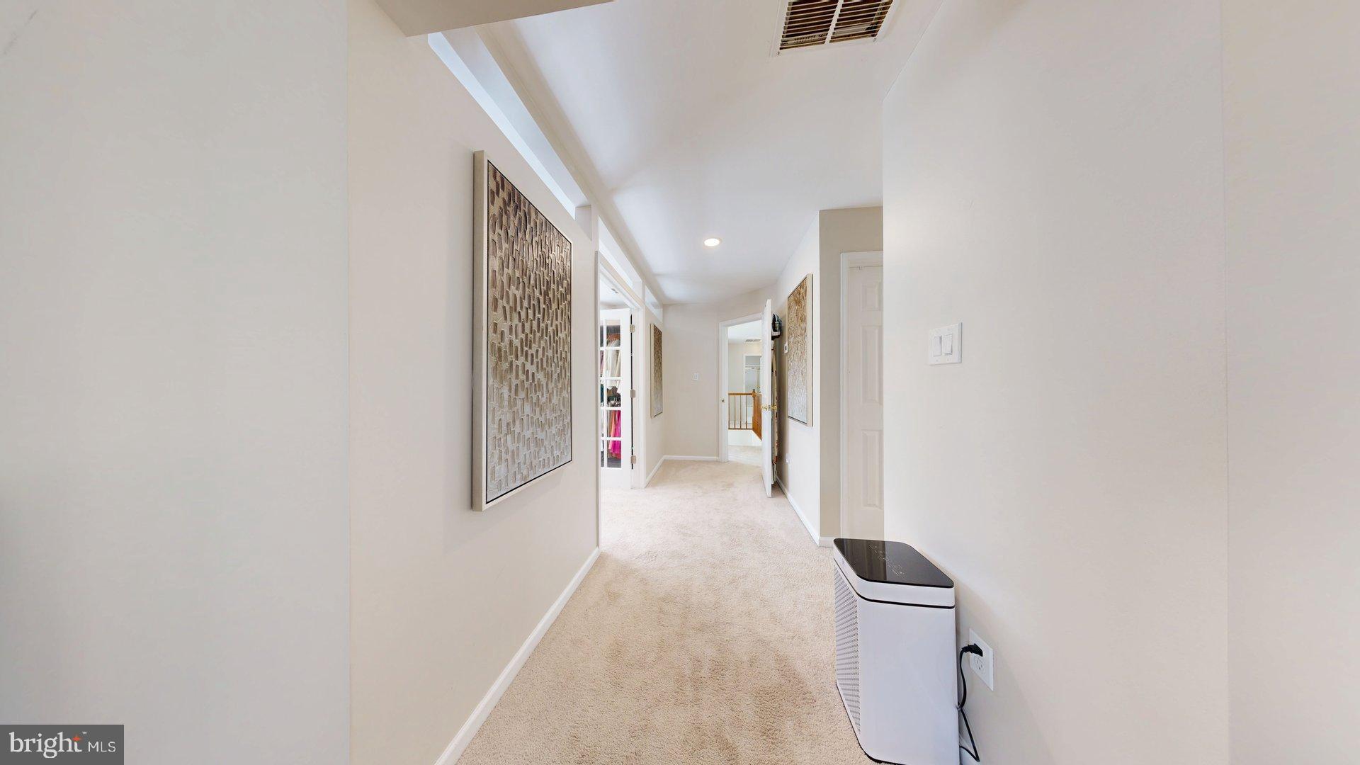 11901 Rustic Farm Court Germantown, MD 20874 - Photo 69 of 134 Bright and inviting hallway retreat.