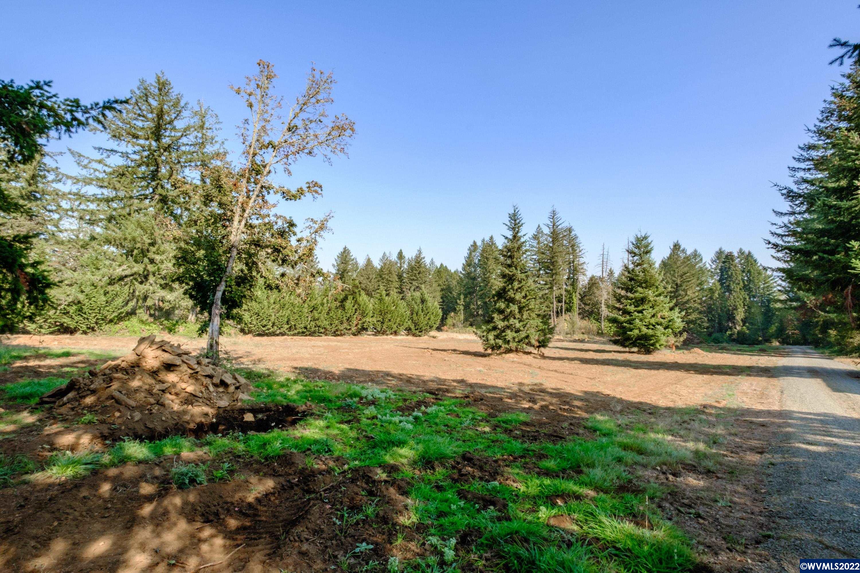 25668 Rice (parcel Road Sweet Home, OR 97386 - Photo 7 of 18
