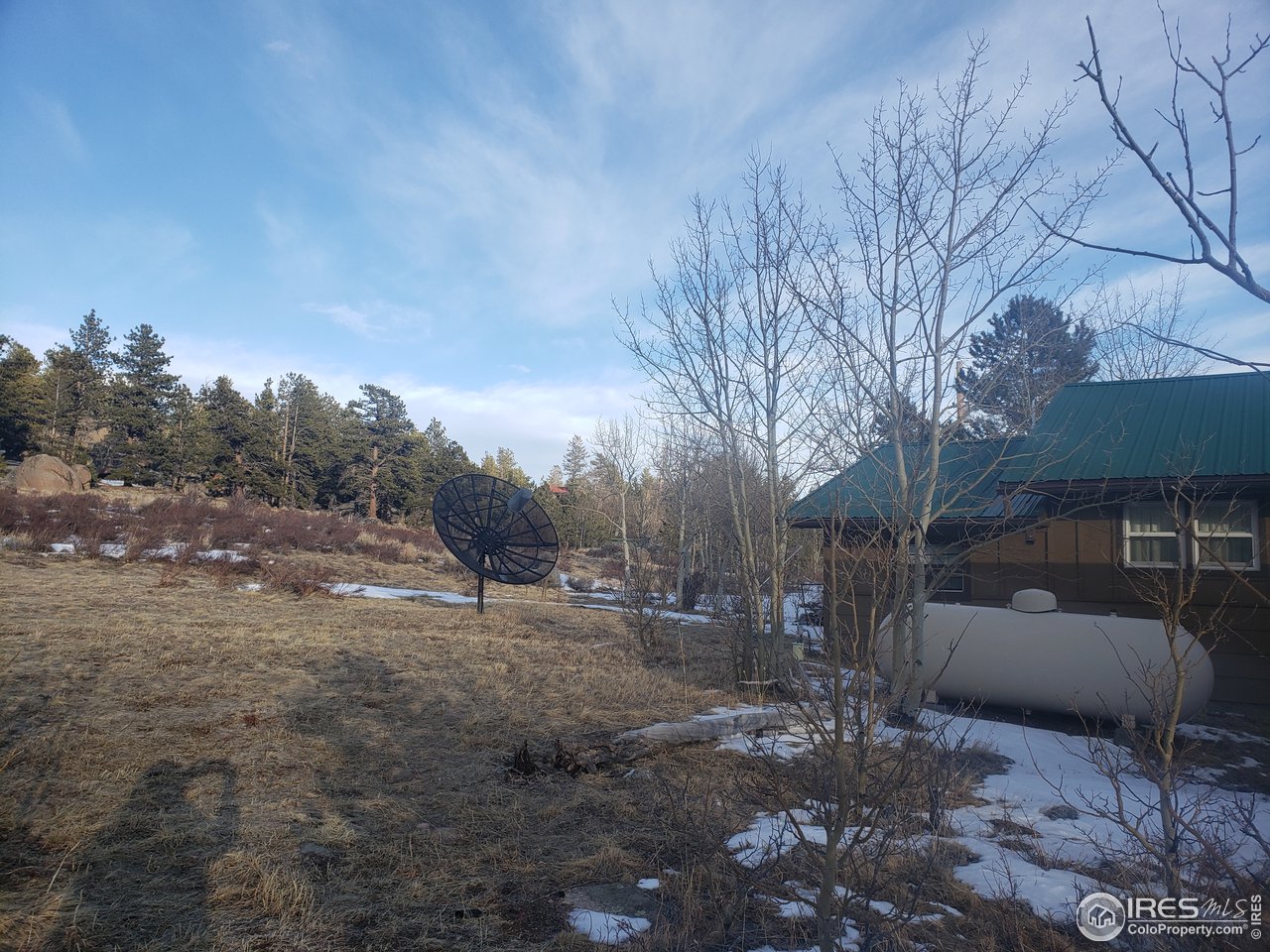 88 Cimarron Road Red Feather Lakes, CO 80545 - Photo 18 of 26 propane tank / back yard
