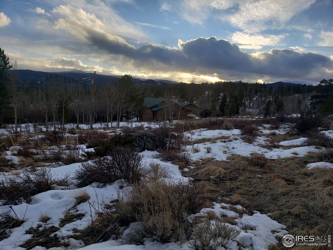88 Cimarron Road Red Feather Lakes, CO 80545 - Photo 7 of 26 views from the back of the property looking toward the cabin