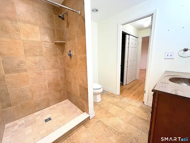 a bathroom with a sink a toilet and shower