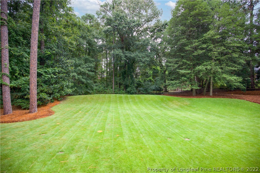 480 Highland Road Southern Pines, NC 28387 - Photo 47 of 50 a view of swimming pool