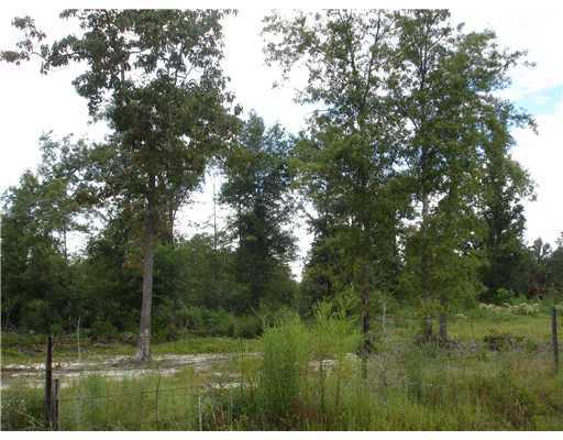 Acreage Acreage Acreage Ridge Road Perkinston, MS 39573 - Photo 1 of 1 Primary Photo