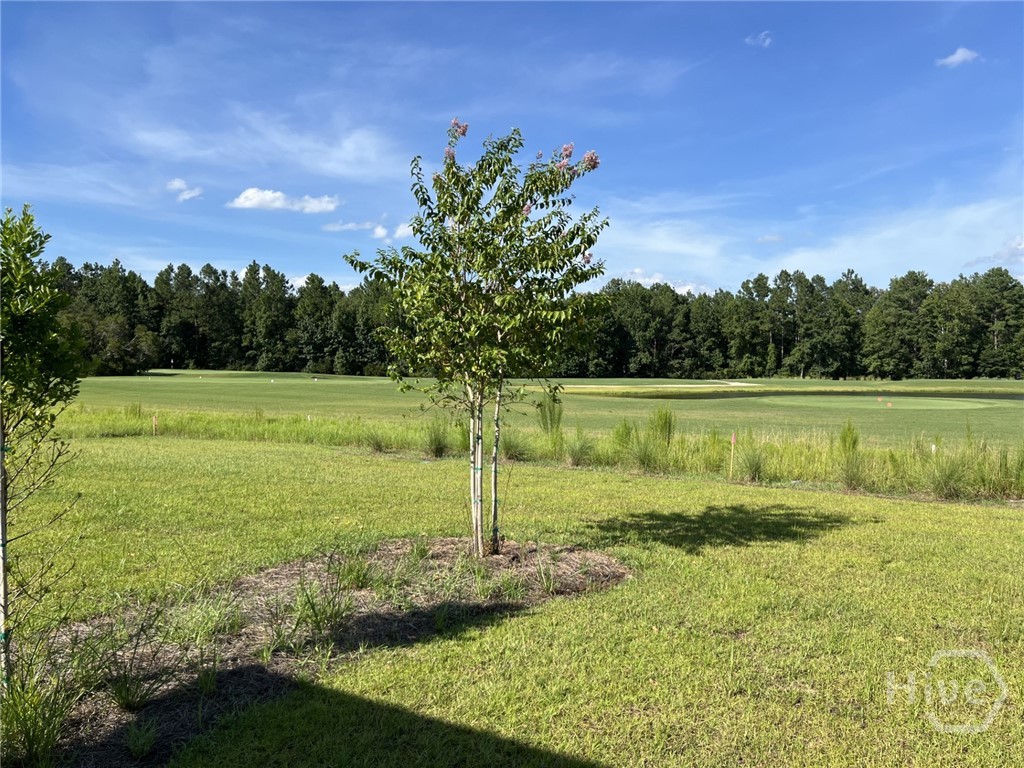 658 Blue Moon Crossing Pooler, GA 31322 - Photo 18 of 28 Gallery Image 18
