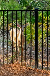 $5,650,000 | 278 Savelle Drive, Santa Rosa Beach, FL 32459