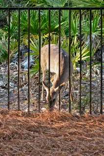 $5,650,000 | 278 Savelle Drive, Santa Rosa Beach, FL 32459