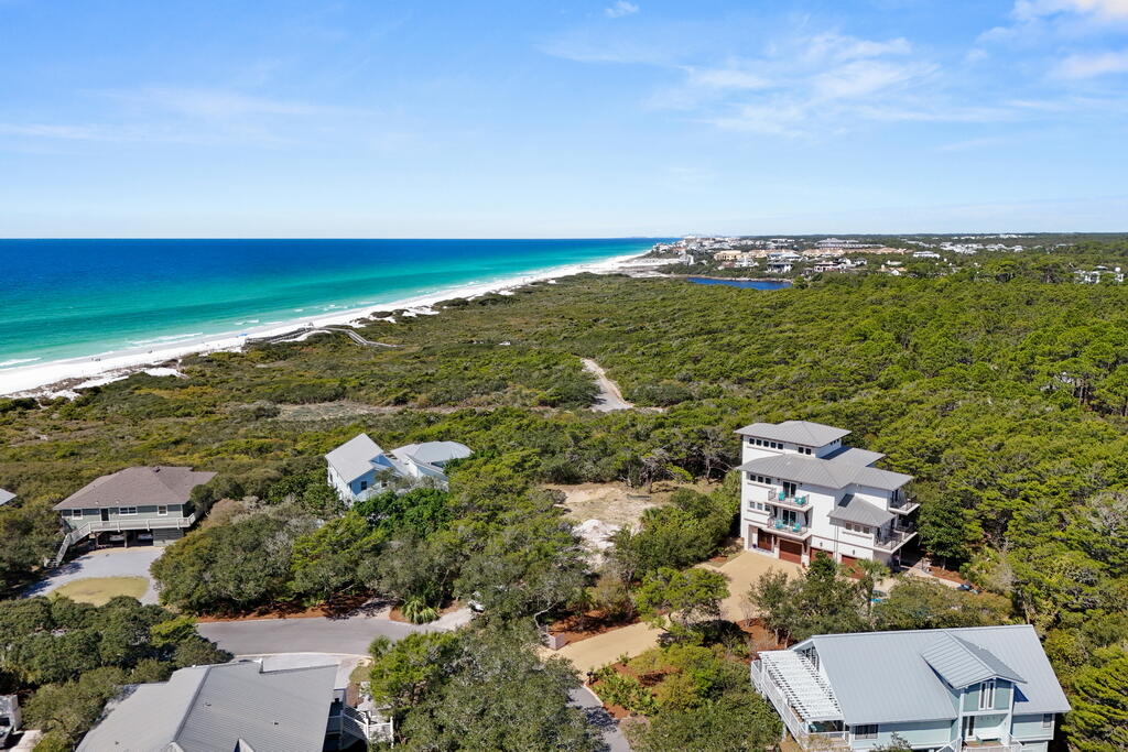 278 Savelle Drive Santa Rosa Beach, FL 32459 - Photo 6 of 157 124_1