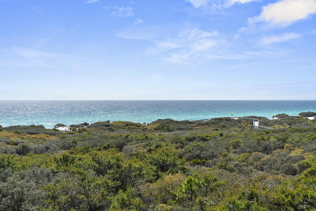 278 Savelle Drive Santa Rosa Beach, FL 32459 - Photo 78 of 157 52_1