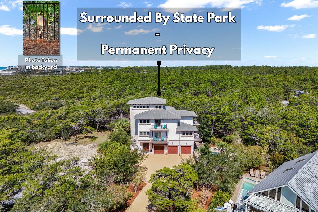 278 Savelle Drive Santa Rosa Beach, FL 32459 - Photo 9 of 157 State Park Privacy 278 Savelle