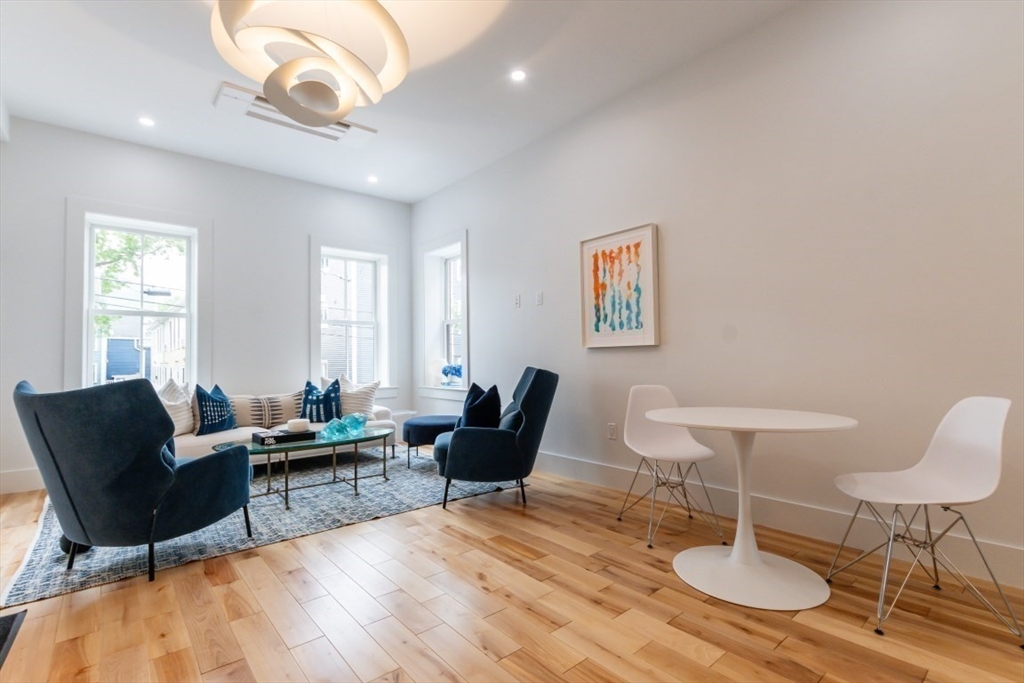 133 Spring Street, Unit 1 Cambridge, MA 02141 - Photo 5 of 39 Gallery Image 5