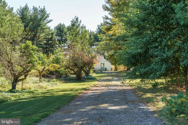 a view of a yard with a trees