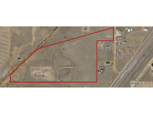 a black and white photo of a park