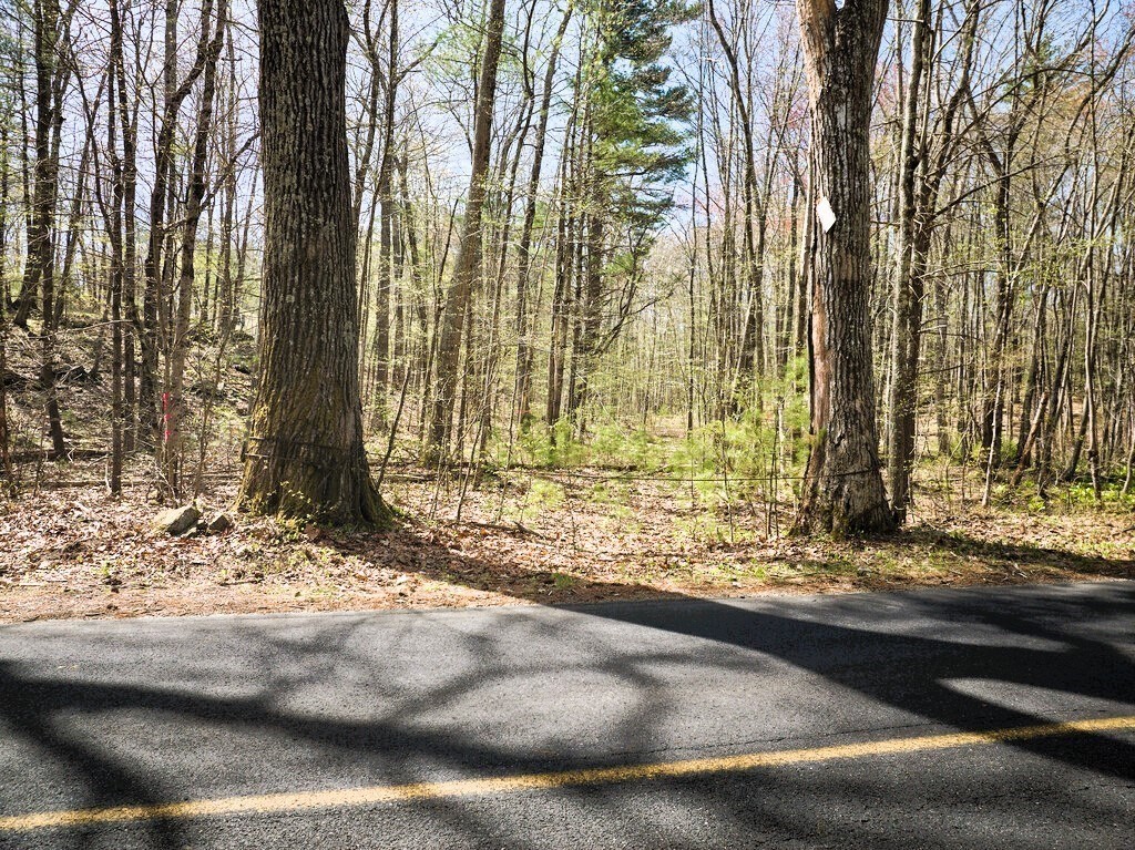 0 East Hill Road Monson, MA 01057 - Photo 18 of 23 Gallery Image 18