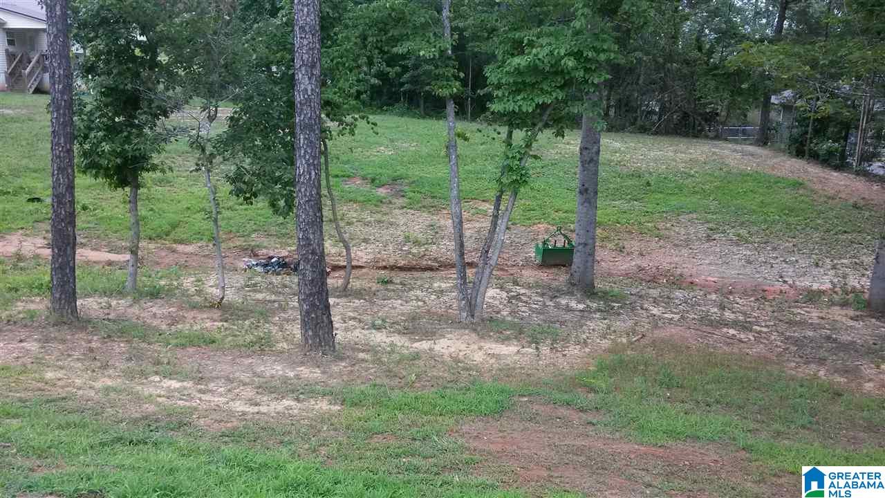 9380 Old Stouts Road Warrior, AL 35180 - Photo 14 of 14