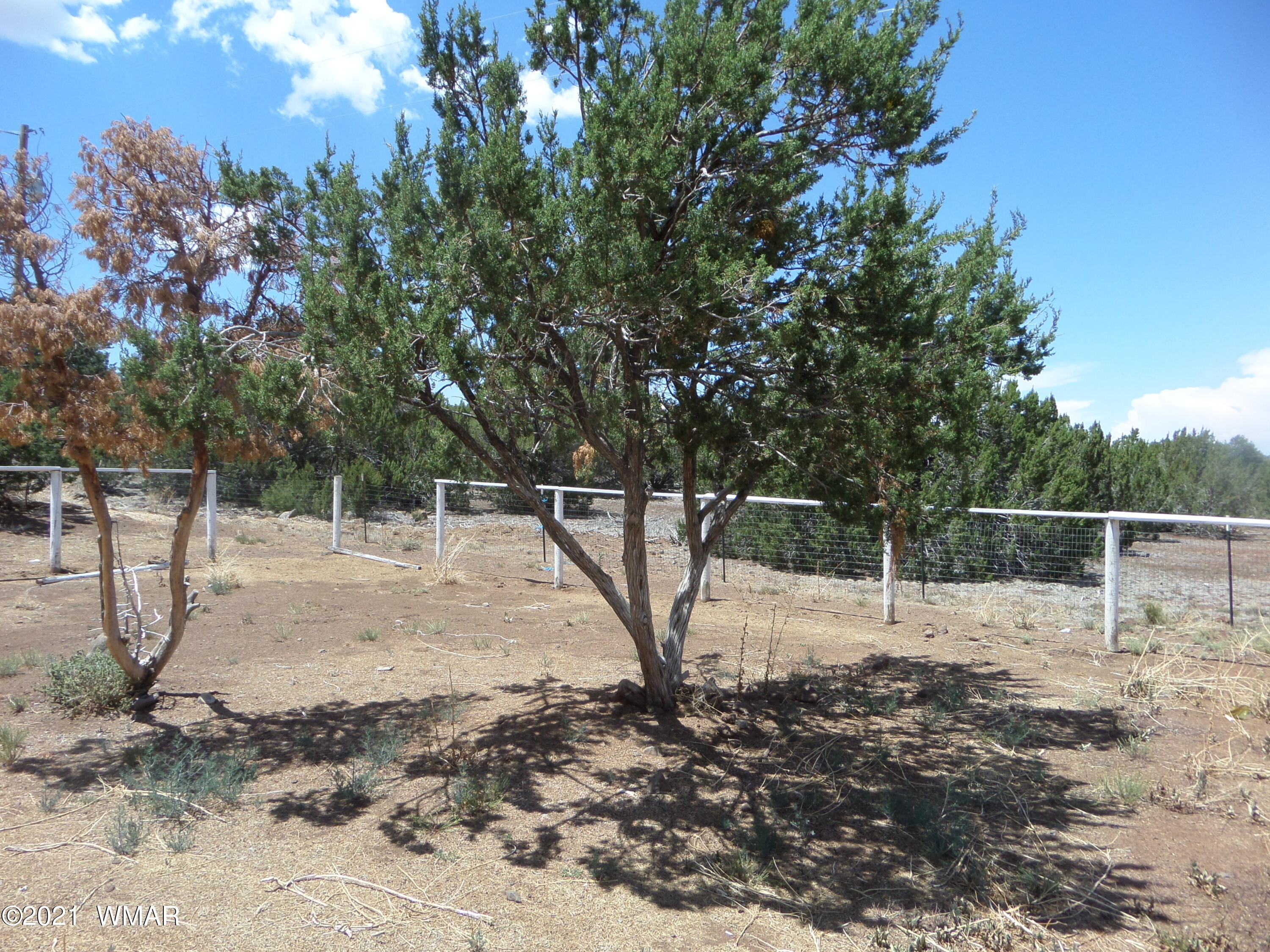 5 County Road Show Low, AZ 85901 - Photo 3 of 23 a backyard of a house with lots of green space