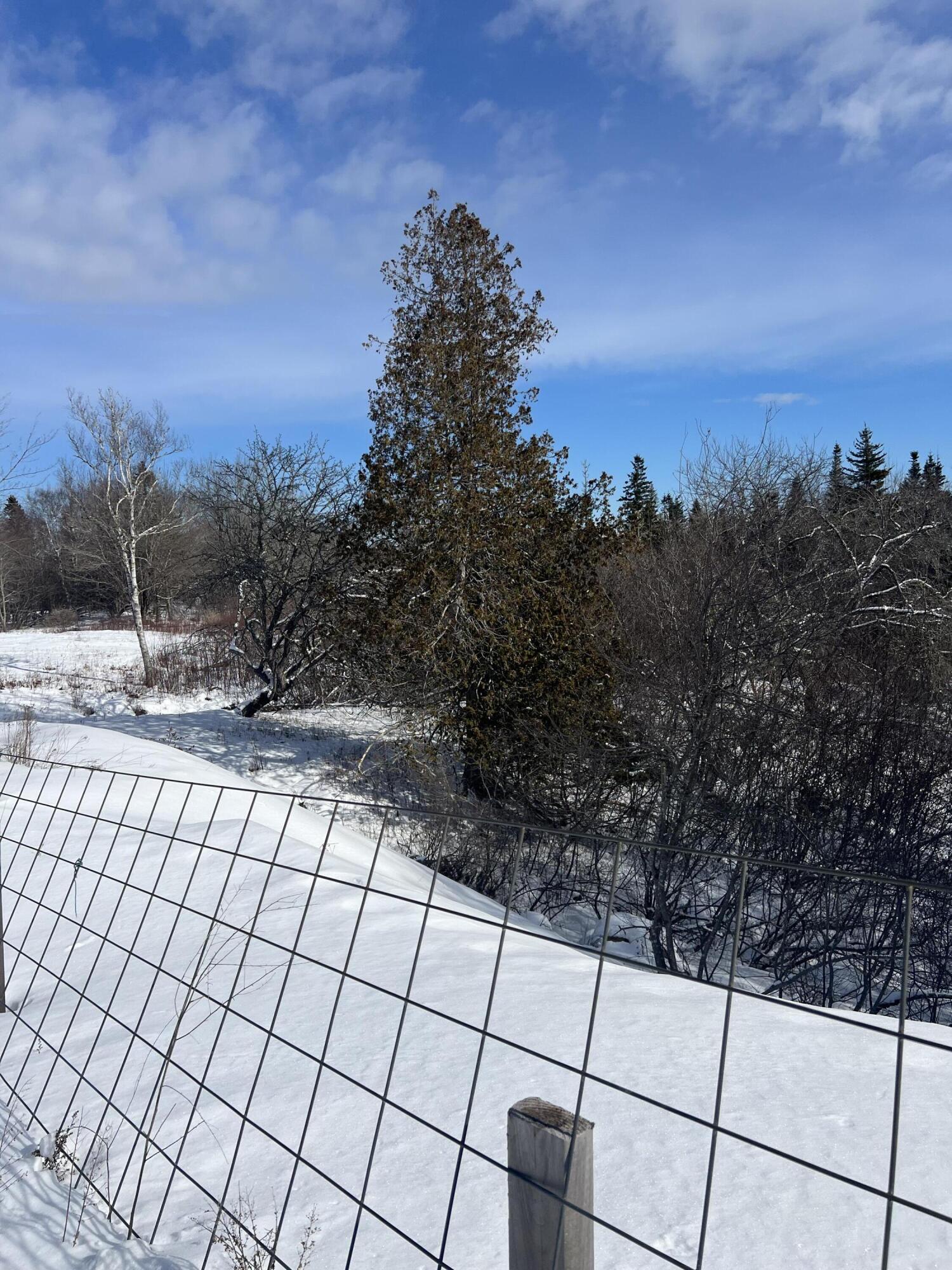 272 Looks Point Road Jonesboro, ME 04648 - Photo 6 of 11 IMG_2504 (1)