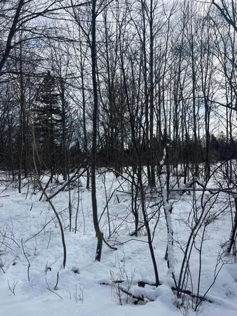 $45,000 | 272 Looks Point Road, Jonesboro, ME 04648