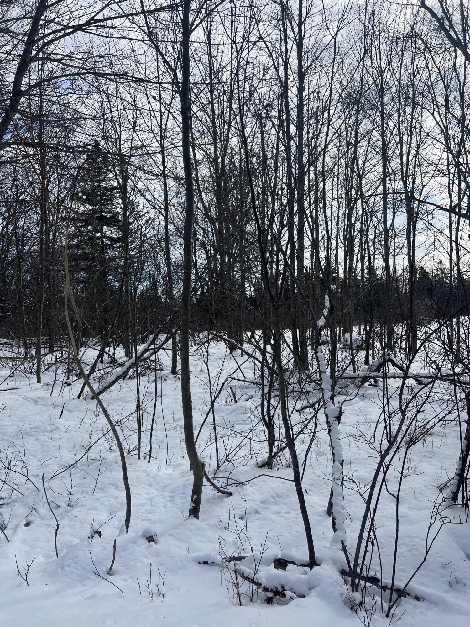 272 Looks Point Road Jonesboro, ME 04648 - Photo 10 of 11 IMG_2508