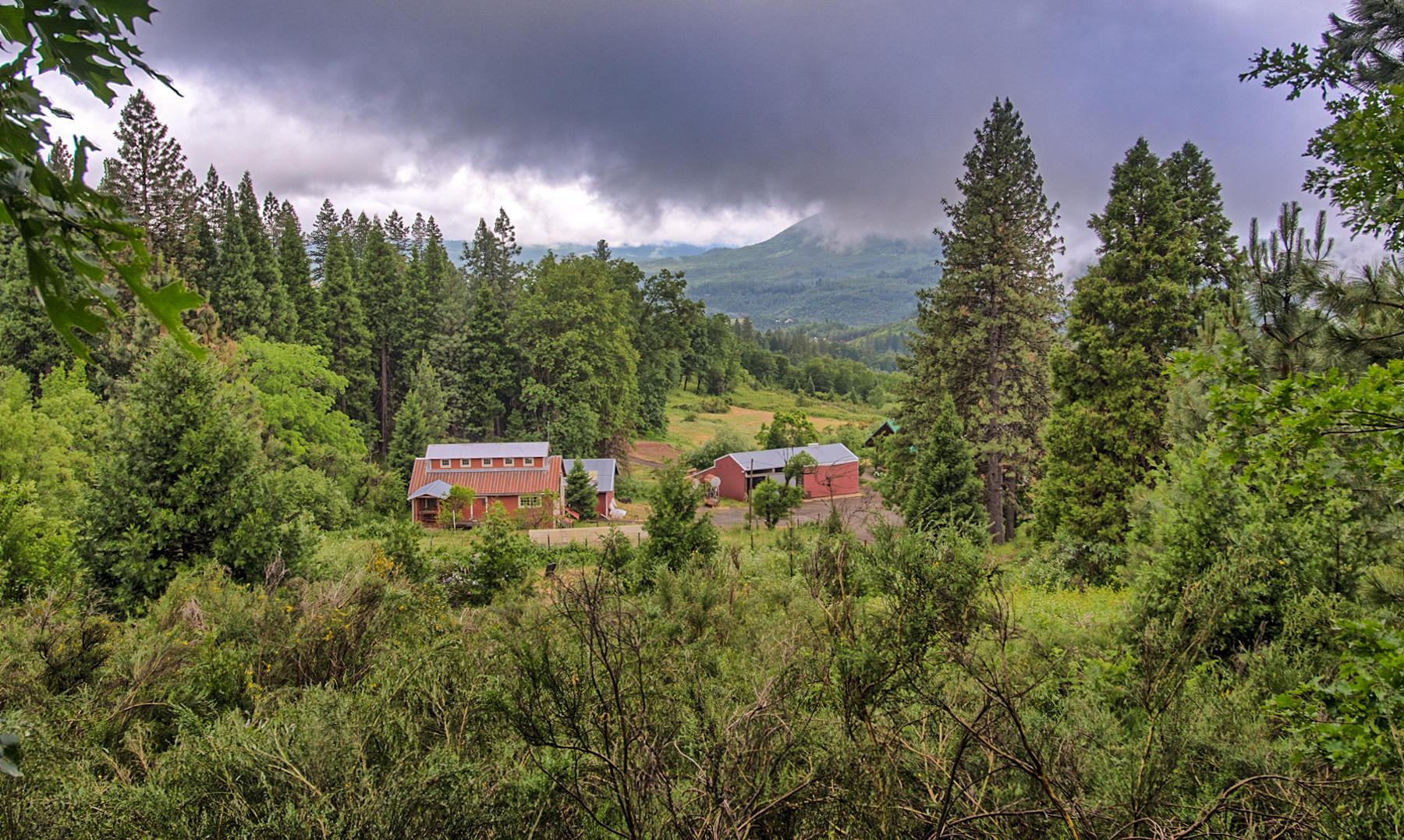 19650 Cove Road Montgomery Creek, CA 96065 - Photo 2 of 70 montgomery crk-173