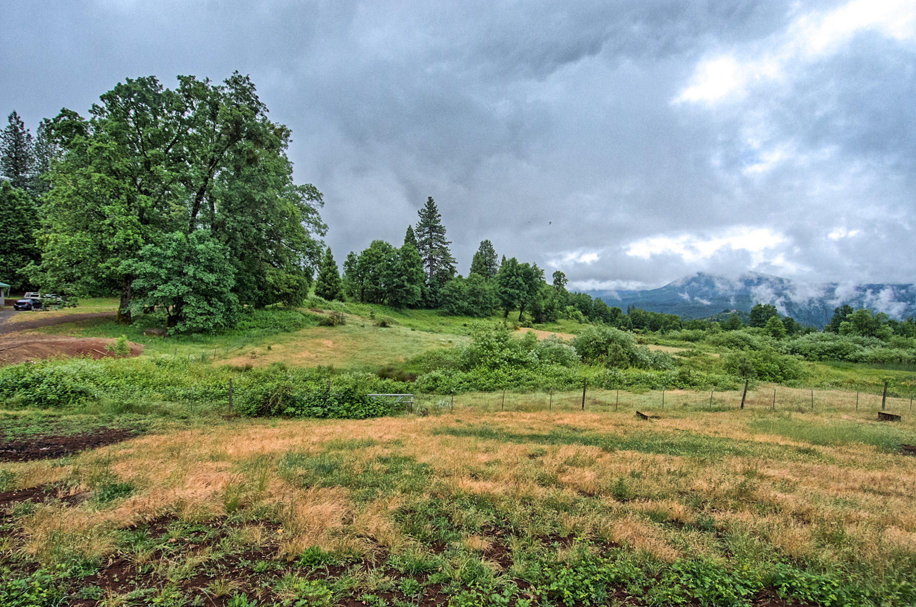 19650 Cove Road Montgomery Creek, CA 96065 - Photo 39 of 70 montgomery crk-128