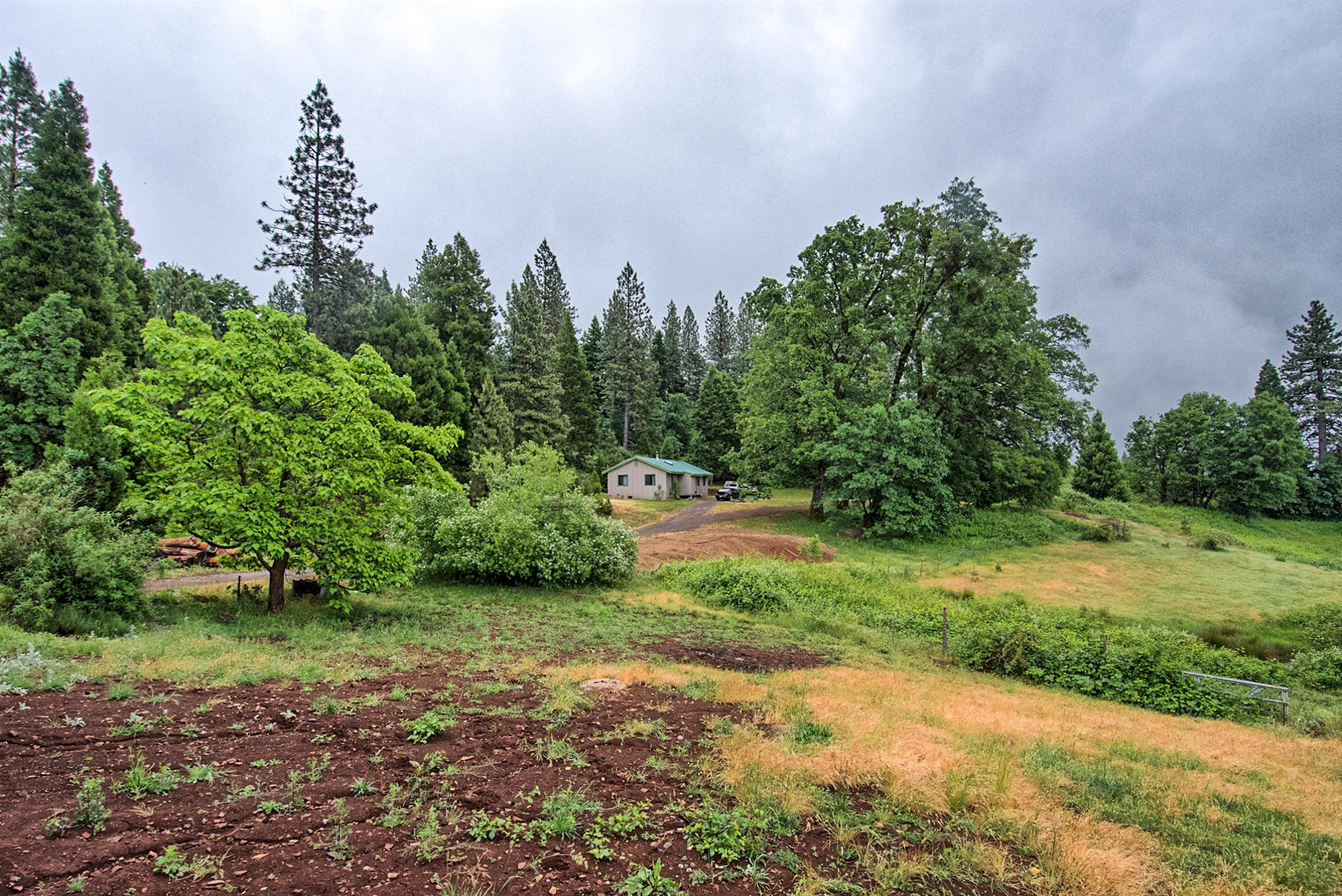 19650 Cove Road Montgomery Creek, CA 96065 - Photo 40 of 70 montgomery crk-129